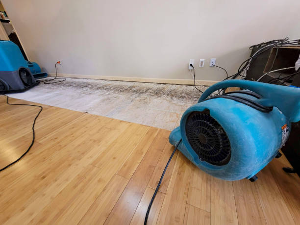 Reliable Basement Flood Cleanup contractor in Springtown, TX by Hirex Water Damage