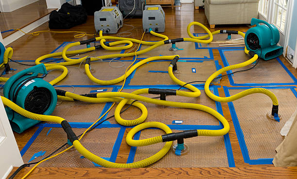 Professional Basement Flood Cleanup technician working in Springtown, TX
